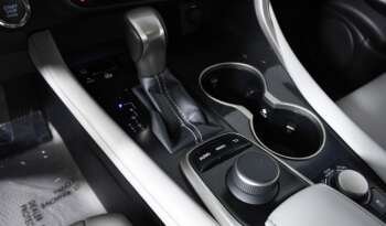 
									Buy 2021 Lexus full								