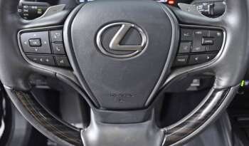 
									Buy 2021 Lexus Model full								