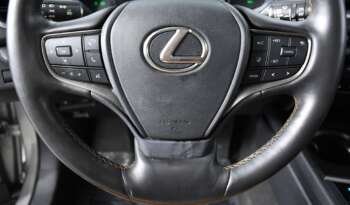 
									Buy 2019 Lexus full								