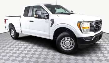 
									Buy 2021 Ford F 150 XL full								