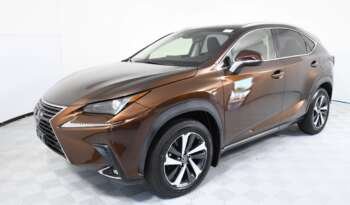 
									Buy 2019 Lexus full								