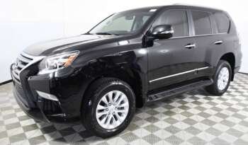 
									Buy 2018 Lexus SUV full								