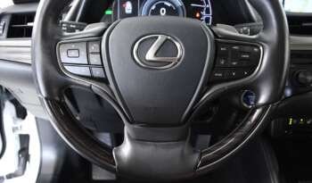 
									Buy 2020 Lexus full								