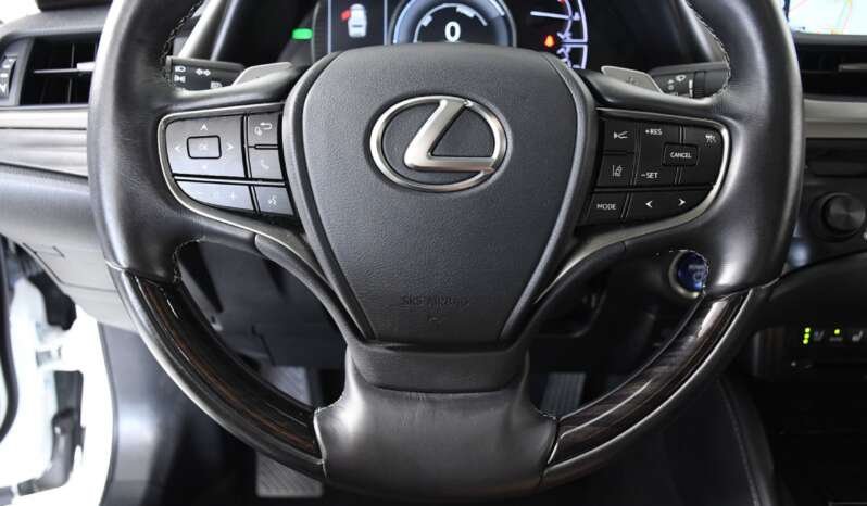 
								Buy 2020 Lexus full									