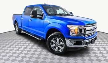 
									Buy 2021 Ford F 150 XLT full								