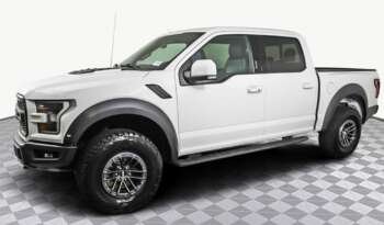 
									Buy 2019 Ford F 150 RAPTOR full								