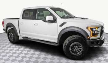 
									Buy 2019 Ford F 150 RAPTOR full								