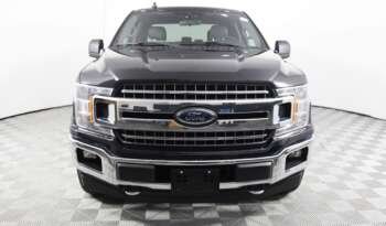 
									Buy 2023 Ford Truck full								