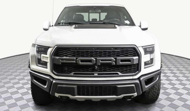 
								Buy 2019 Ford F 150 RAPTOR full									