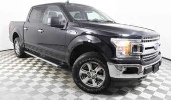 
									Buy 2023 Ford Truck full								