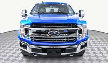 
									Buy 2021 Ford F 150 XLT full								