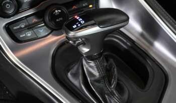 
									Buy 2021 Dodge full								