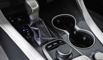 
									Buy 2020 Lexus EDITION full								