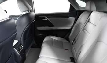 
									Buy 2020 Lexus EDITION full								