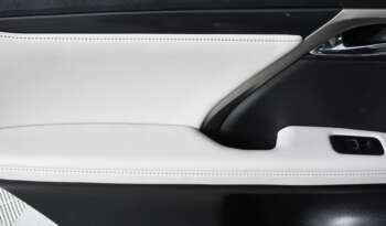 
									Buy 2020 Lexus EDITION full								
