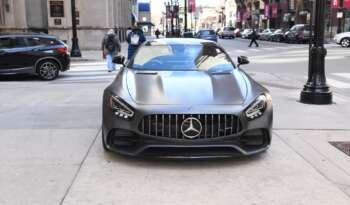 
									Buy 2021 MERCEDES-BENZ AMG GT C full								